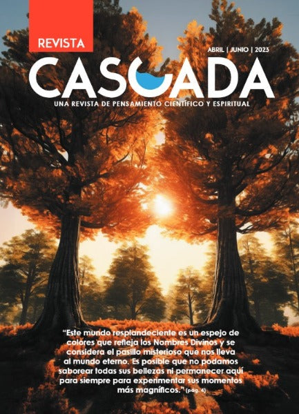Revista Cascada Magazine (Various Issues)