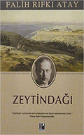 Zeytindağı