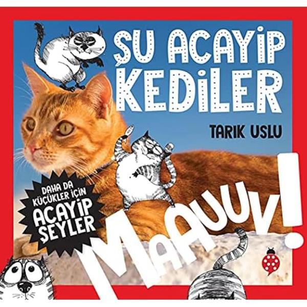 Daha da Küçükler İçin Şu Acayip Kediler