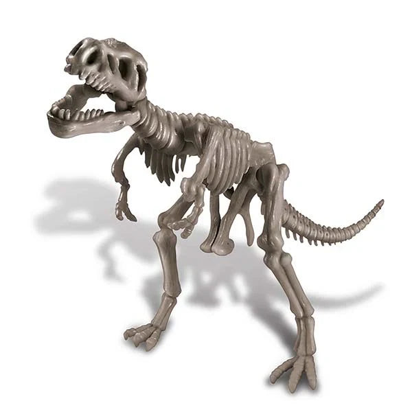 Dıg a Dınasour Skeleton/TYRANNOSAURUS REX