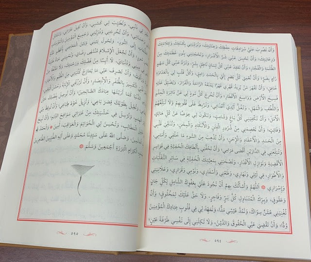 El Kulübüd Daria -Mealsiz - Termoderi