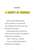 Sadiq and the Pet Problem