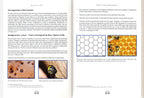 The Clear Signs of the Quran Vol 1 & 2 Set