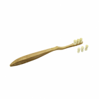 Toothwak Luxury Model