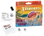 Grow Your Own Triops - A Living Dinosaur