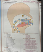 A GUIDE TO READING THE QUR'AN (KUR'AN OKUMA REHBERI)