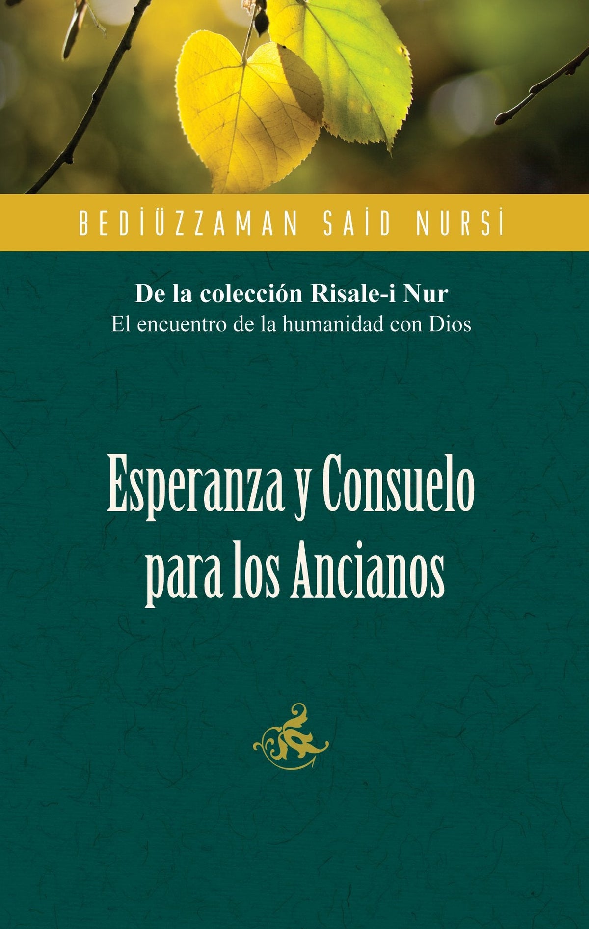 Esperanza y Consuelo Para los Ancianos(Spanish)