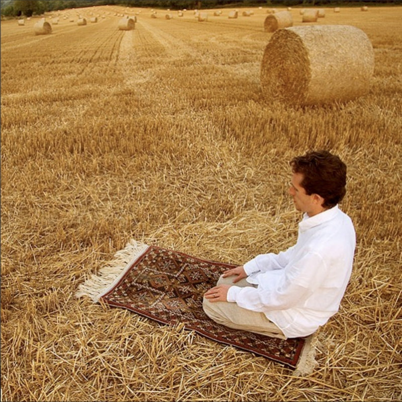 The Art of Integration  Islam in Our Green and Pleasant Land